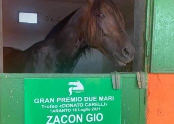 Zacon Gio scores at Taranto, Italy