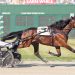Beaver Stable dominates $320,000 OSS