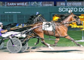 Charlie May heads Ohio Sires Stakes