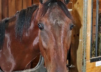 More Next Generation action Saturday