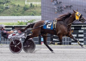 Easy victory for Crisp Mane