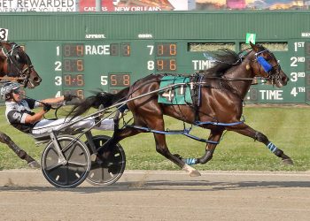 Scioto hosts Buckeye Stallion Series