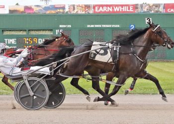 Pacing fillies wrangle in Ohio Sires Stakes