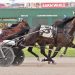 Pacing fillies wrangle in Ohio Sires Stakes
