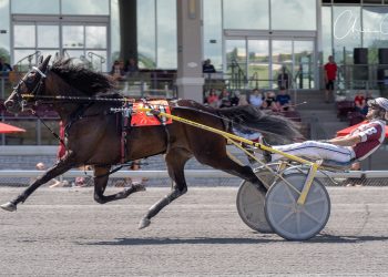 First-time starter fastest in PASS