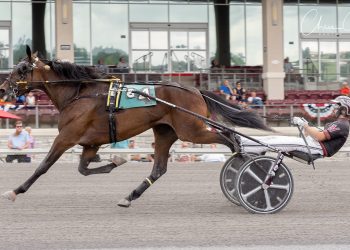 Frankly My Dear takes Arden Downs Stake