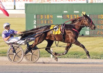 Ohio Sires Stakes at Scioto & Northfield