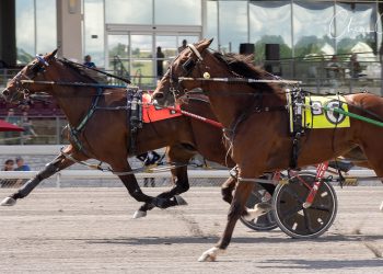 $165,257 PASS held at The Meadows