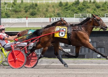 Jeffery P hangs tough to extend streak