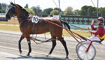 Dickie leaving New Zealand