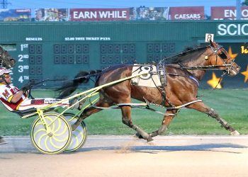 Scioto hosts Buckeye Stallion Series