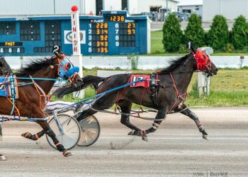 Noahs Mill takes another feature