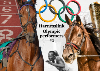 Harnesslink: Olympic performers