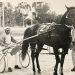 Trots heritage lives on at Nyah