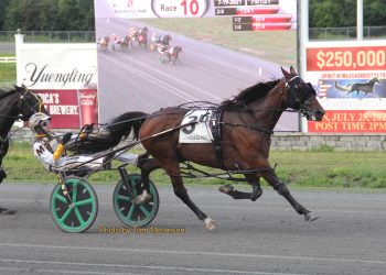 Drew Monti wins five at Plainridge