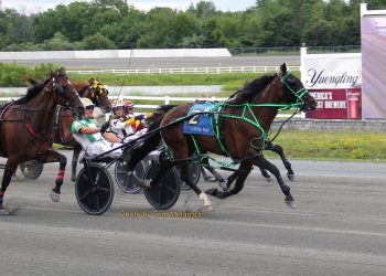 Stihl N steals feature late