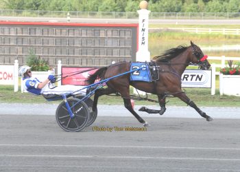 Level Up reaches new heights at Plainridge