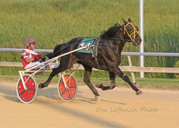 Bordogna big in Aces feature