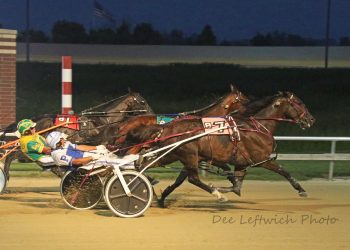 Castle Flight unfurls wings for feature score