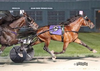 What The Hill leads two-year-old trotting sires