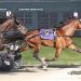 What The Hill leads two-year-old trotting sires 1 What The Hill leads two-year-old trotting sires