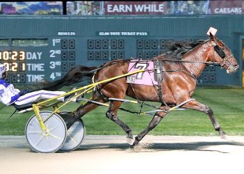 Downbytheseaside offspring dominant, record set in OSS