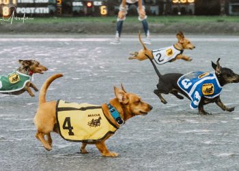 Done Well finds the wire in time