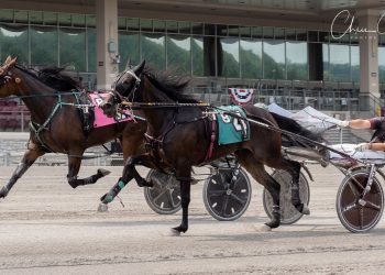 Fillies duel in $54,000 Arden Downs