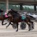 Fillies duel in $54,000 Arden Downs 8 Fillies duel in $54,000 Arden Downs