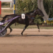 Borutka Wins 107th Magyar Ugeto Derby