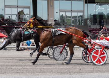 Beachy & Oldford rally in GLADA trots