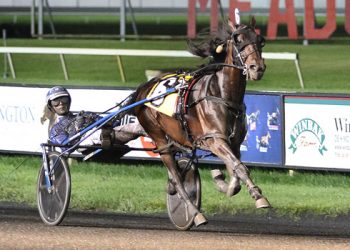 Haughton divisions to Allywag Hanover, Cattlewash