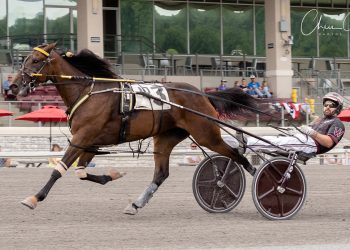 Whiskey Blu too tough in Arden Downs Stake