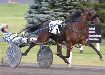 Balance beastly in $76,500 Whenuwishuponastar final