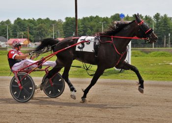 Wild Oats again, wagering record at Cumberland