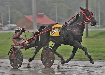 Curtain closes on Cumberland race meet