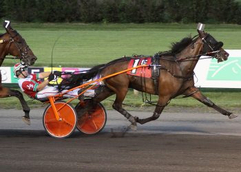 NAADA trot action at Yonkers Raceway