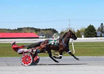 Little Manny heads HRNB top pace