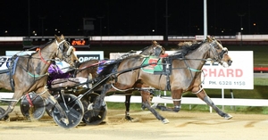 Tasmanian Harness Highlights podcast