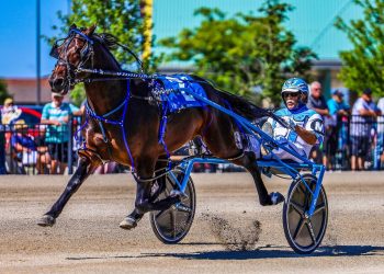 Icey Shadow ties record in Prospect