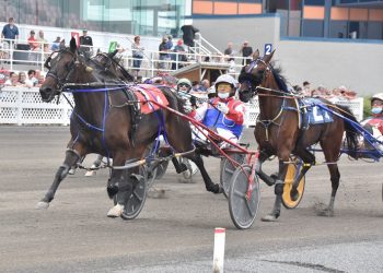 Breeders Trophy Series back at Hippodrome 3R