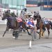 Breeders Trophy Series back at Hippodrome 3R