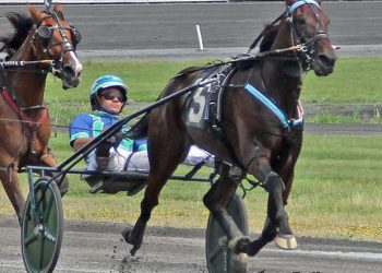 Ahundreddollarbill sets all-age track record