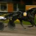 Aetos Kronos impressive winner at Solvalla 2 Aetos Kronos impressive winner at Solvalla