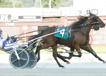 Five OSS held at Northfield Park