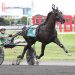 Captain Corey struts to $1 million Hambletonian victory