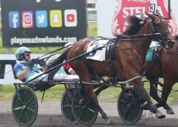 Grace Hill upsets in $97,550 Shady Daisy