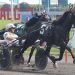 $293,450 Peter Haughton to unbeaten King Of The North