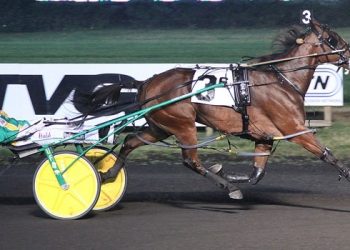 Captaintreacherous progeny dominated Hambo Day