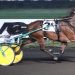 Captaintreacherous progeny dominated Hambo Day